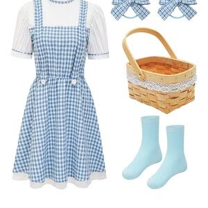 Dorothy Halloween Costume Wizard of Oz